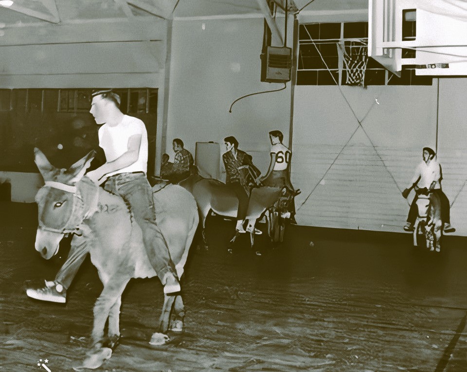 Donkey Basketball